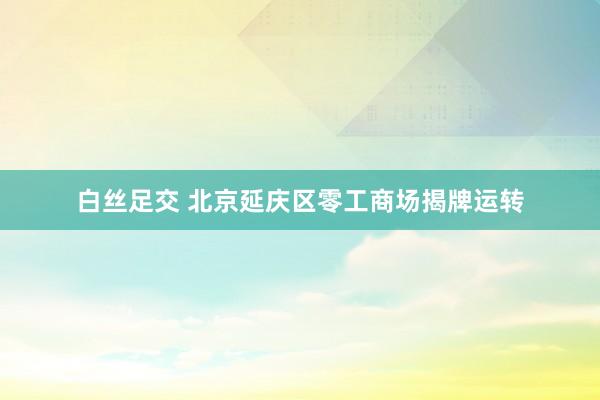 白丝足交 北京延庆区零工商场揭牌运转