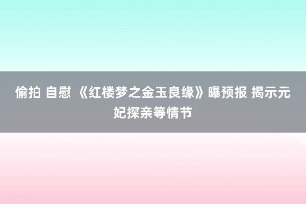 偷拍 自慰 《红楼梦之金玉良缘》曝预报 揭示元妃探亲等情节