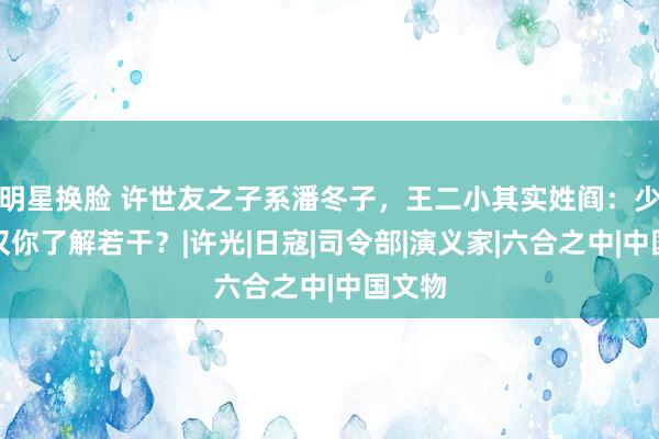 明星换脸 许世友之子系潘冬子，王二小其实姓阎：少年铁汉你了解若干？|许光|日寇|司令部|演义家|六合之中|中国文物