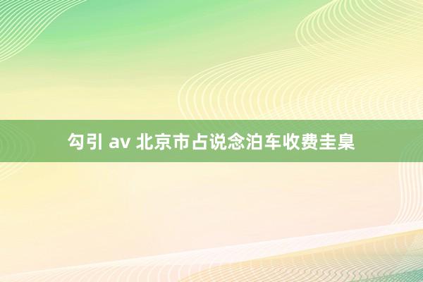 勾引 av 北京市占说念泊车收费圭臬