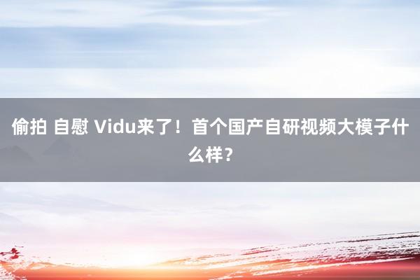 偷拍 自慰 Vidu来了！首个国产自研视频大模子什么样？