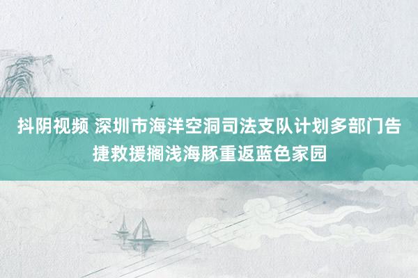 抖阴视频 深圳市海洋空洞司法支队计划多部门告捷救援搁浅海豚重返蓝色家园