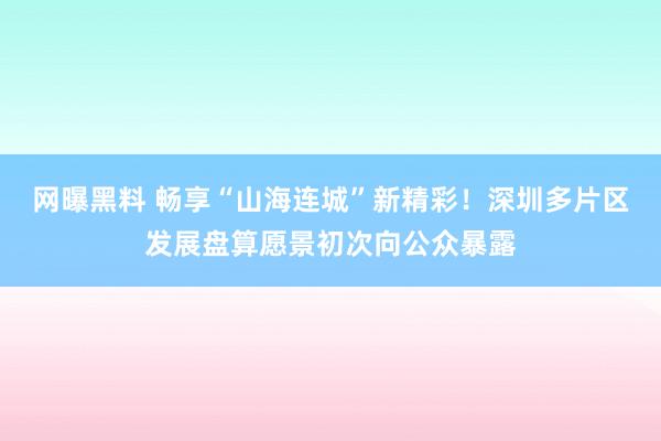 网曝黑料 畅享“山海连城”新精彩！深圳多片区发展盘算愿景初次向公众暴露