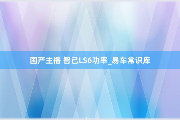 国产主播 智己LS6功率_易车常识库