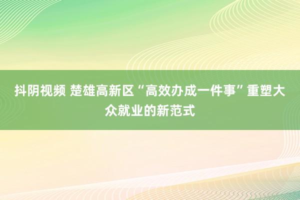 抖阴视频 楚雄高新区“高效办成一件事”重塑大众就业的新范式