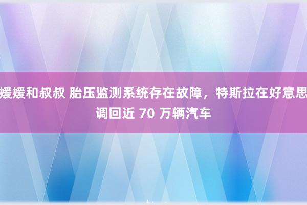 媛媛和叔叔 胎压监测系统存在故障，特斯拉在好意思调回近 70 万辆汽车